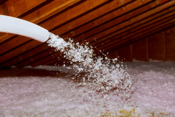 Best Insulation Maintenance and Repair in Forsyth, MT
