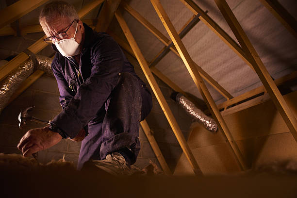 Best Geographic-Specific Insulation Services in Forsyth, MT